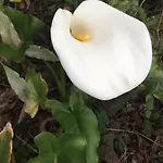Adega Farma Horta (Azores)